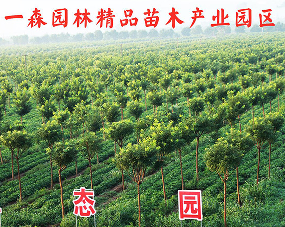 與寶潔公司、得力集團(tuán)、韓國曉星集團(tuán)、華峰集團(tuán)、高露潔、南孚電池、雙鹿電池,倍加潔, 潤本,曼秀雷敦,新昌制藥,上海中華藥業(yè)等知名企業(yè)合作