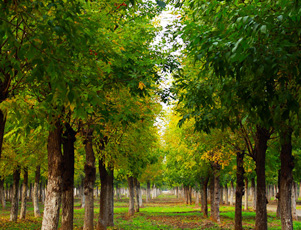 與寶潔公司、得力集團(tuán)、韓國曉星集團(tuán)、華峰集團(tuán)、高露潔、南孚電池、雙鹿電池,倍加潔, 潤本,曼秀雷敦,新昌制藥,上海中華藥業(yè)等知名企業(yè)合作